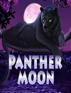 ซื้อฟรี ส ปิ น ถูกๆพฤติกรรมคนเล่นการพนันที่ต้องรู้จัก